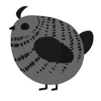 A grey and sable chicken with a bar pattern