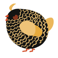 A black and honey chicken with a lace pattern