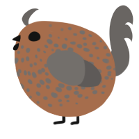 A brown and grey chicken with a speckle pattern