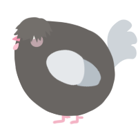 A grey and mist chicken