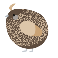 A bark and beige chicken with a double-lace pattern