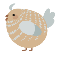 A beige and silver chicken with a bar pattern