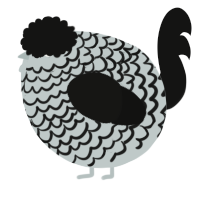 A silver and black chicken with a lace pattern