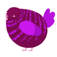 A wine and amethyst chicken with a bar pattern