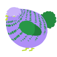 A lilac and viridian chicken with a bar pattern
