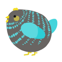 A grey and aqua chicken with a bar pattern