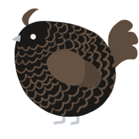 A sable and bark chicken with a lace pattern