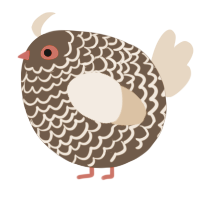 A bark and beige chicken with a lace pattern