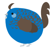 A sapphire and bark chicken with a half-lace pattern