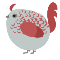 A silver and red chicken with a half-lace pattern