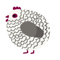 A white and grey chicken with a lace pattern