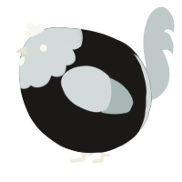 A sable and silver chicken with a head pattern
