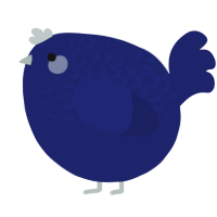 A navy chicken with a half-lace pattern