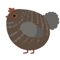 A bark and grey chicken with a bar pattern