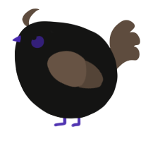 A black and bark chicken
