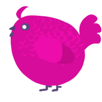 A fuchsia chicken with a half-lace pattern