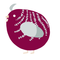 A maroon and silver chicken with a half-bar pattern