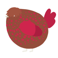 A russet and crimson chicken with a speckle pattern