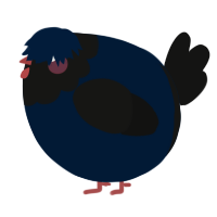A tumblr and black chicken with a head pattern