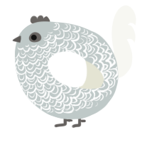 A silver and white chicken with a double-lace pattern
