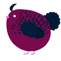 A wine and tumblr chicken with a half-lace pattern
