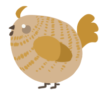 A beige and gold chicken with a bar pattern