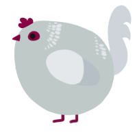 A silver and mist chicken with a neck-band pattern