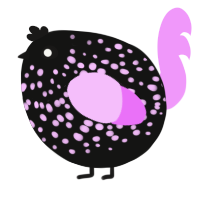 A black and lavender chicken with a speckle pattern