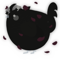 A black chicken with a half-lace pattern