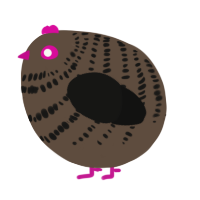 A bark and black chicken with a bar pattern
