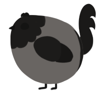 A grey and sable chicken with a head pattern