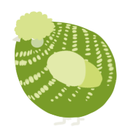 A chartreuse and lemon chicken with a bar pattern