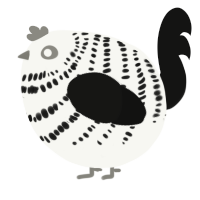 A white and black chicken with a bar pattern