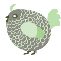 A ash and gluppy chicken with a lace pattern