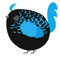 A black and sky chicken with a half-lace pattern