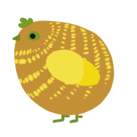 A gold and yellow chicken with a bar pattern