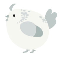 A white and silver chicken with a neck-speckle pattern