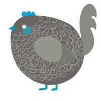 A grey and ash chicken with a double-lace pattern