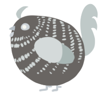 A grey and silver chicken with a bar pattern