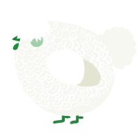 A white chicken with a double-lace pattern
