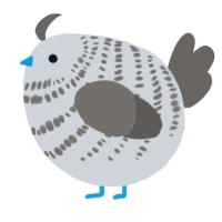 A mist and grey chicken with a bar pattern