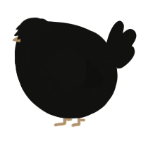 A black chicken with a speckle pattern