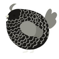 A sable and ash chicken with a lace pattern