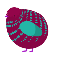 A maroon and turquoise chicken with a bar pattern