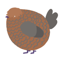 A brown and grey chicken with a lace pattern