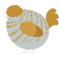 A silver and gold chicken with a bar pattern