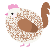 A white and brown chicken with a double-lace pattern