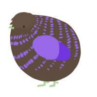 A bark and blurple chicken with a bar pattern