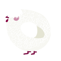 A white chicken with a double-lace pattern