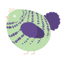 A gluppy and overcast chicken with a bar pattern